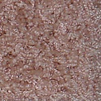 Ковролин Bell Rock Beaulieu of America 1042 фото 1 | FLOORDEALER