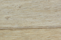 Линолеум Forbo Emerald Wood Fr 8703 фото 1 | FLOORDEALER