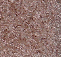 Ковролин Bell Rock Beaulieu of America 1042 фото 1 | FLOORDEALER