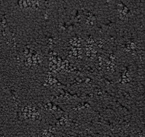 Ковролин Balsan Lagon 960 фото 1 | FLOORDEALER