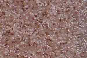 Ковролин Bell Rock Beaulieu of America 1042 фото  | FLOORDEALER