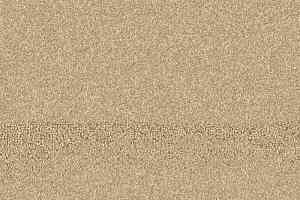 Ковролин Balsan Tanzanie 621 фото  | FLOORDEALER