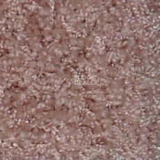 Ковролин Bell Rock Beaulieu of America 1042 фото 1 | FLOORDEALER