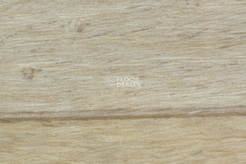 Линолеум Forbo Emerald Wood Fr 8703 фото 1 | FLOORDEALER