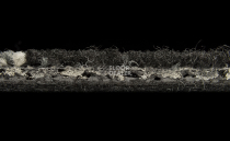 Balsan Signal Balsan Signal 999 фото 4 | FLOORDEALER