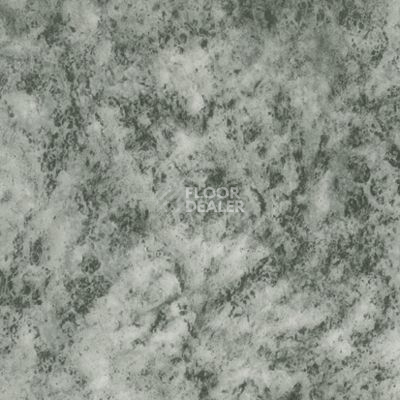 Линолеум Novoflor Standard 3100_7 фото 1 | FLOORDEALER