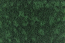 Flotex Colour s 246022 Metro Evergreen фото 2 | FLOORDEALER