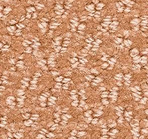 Ковролин Balsan Aquarelle Aquarelle 410 фото 1 | FLOORDEALER