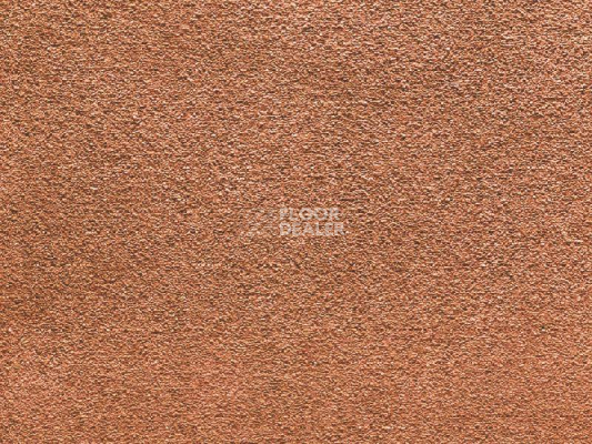 Ковролин Balta Wild Luxury Paddington 57 фото 1 | FLOORDEALER