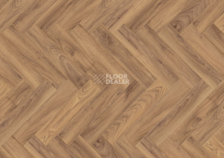 Ламинат Terhurne Herringbone Edition New Дуб Коттедж фото 1 | FLOORDEALER