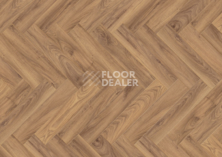 Ламинат Terhurne Herringbone Edition New Дуб Коттедж фото 1 | FLOORDEALER