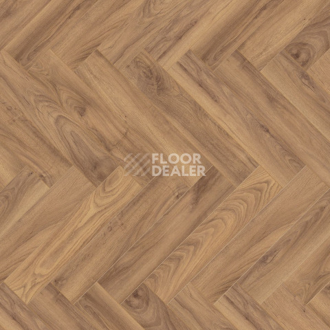 Ламинат Terhurne Herringbone Edition New Дуб Коттедж фото 1 | FLOORDEALER