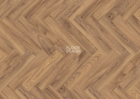 Ламинат Terhurne Herringbone Edition New Дуб Коттедж фото 1 | FLOORDEALER