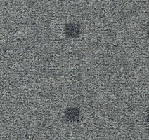 Ковролин Vorwerk Passion 1045 Vorwerk 5x29 фото 1 | FLOORDEALER