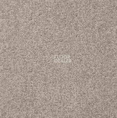 Ковролин Betap Transmit 820 фото 1 | FLOORDEALER