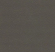 Линолеум Grabo Silver Knight Fitness 1286_00_279 фото 1 | FLOORDEALER