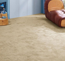 Vorwerk Essential 1076 Vorwerk 8k11 фото 2 | FLOORDEALER