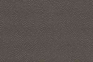 Линолеум Grabo Silver Knight Fitness 1286_00_279 фото  | FLOORDEALER