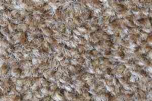 Ковролин Big Dublin Heather 918 фото  | FLOORDEALER