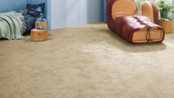 Vorwerk Essential 1076 Vorwerk 8k11 фото 2 | FLOORDEALER