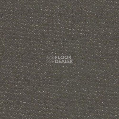 Линолеум Grabo Silver Knight Fitness 1286_00_279 фото 1 | FLOORDEALER