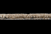 Innova Мираж q 500 01 фото 5 | FLOORDEALER