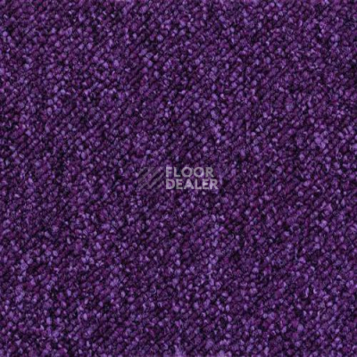 Ковровая плитка Desso Pallas 4031 фото 1 | FLOORDEALER