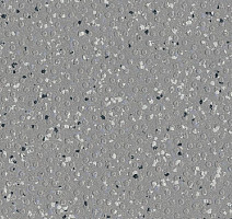 Линолеум Polyflor Polysafe Hydro Evolve 4257 фото 1 | FLOORDEALER