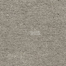 Ковролин AW Magnificus 91 фото 1 | FLOORDEALER