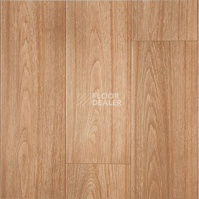 Линолеум Grabo Terrana Top Extra 4266-260 фото 1 | FLOORDEALER