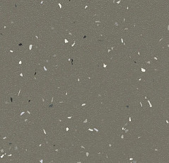 Линолеум Forbo SureStep Star 176872 earth фото 1 | FLOORDEALER