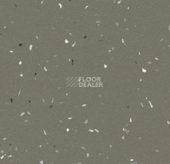 Линолеум Forbo SureStep Star 176872 earth фото 1 | FLOORDEALER