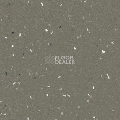 Линолеум Forbo SureStep Star 176872 earth фото 1 | FLOORDEALER
