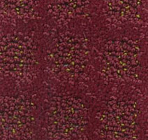 Ковролин Balta Cavalli 130 фото 1 | FLOORDEALER