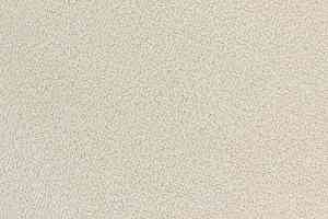 Ковролин Edel Ambition 102 фото  | FLOORDEALER