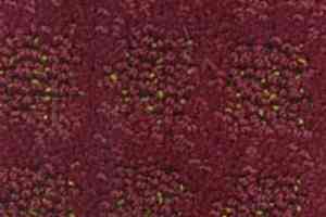 Ковролин Balta Cavalli 130 фото  | FLOORDEALER