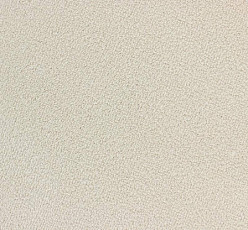 Ковролин Edel Ambition 102 фото 1 | FLOORDEALER