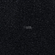 Edel Tamino 181 фото 1 | FLOORDEALER