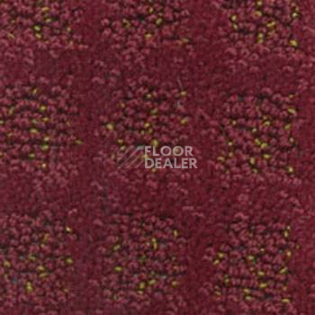 Ковролин Balta Cavalli 130 фото 1 | FLOORDEALER