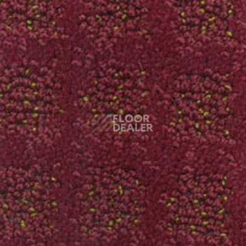 Ковролин Balta Cavalli 130 фото 1 | FLOORDEALER