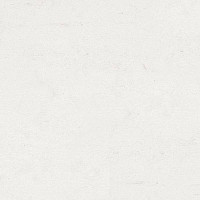 Кварцвиниловые полы Polyflex Plus PU 6010 фото 1 | FLOORDEALER