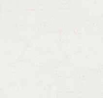 Кварцвиниловые полы Polyflex Plus PU 6010 фото 1 | FLOORDEALER