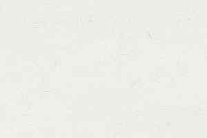 Кварцвиниловые полы Polyflex Plus PU 6010 фото  | FLOORDEALER