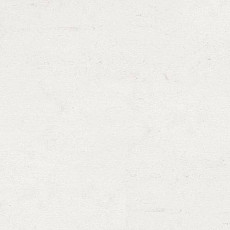 Кварцвиниловые полы Polyflex Plus PU 6010 фото 1 | FLOORDEALER