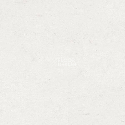 Кварцвиниловые полы Polyflex Plus PU 6010 фото 1 | FLOORDEALER