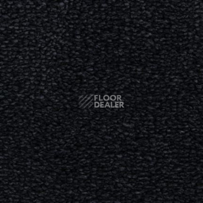 Ковролин Edel Tamino 181 фото 1 | FLOORDEALER