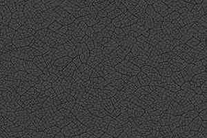 Ковролин Ege Highline Nature rf 5500816 фото  | FLOORDEALER