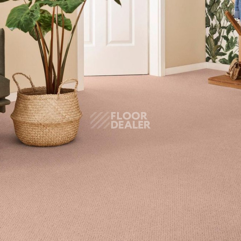 Vorwerk Superior 1071 Vorwerk 1n83 фото 2 | FLOORDEALER