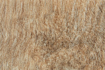 Forbo SureStep Wood 18882 classic oak фото 3 | FLOORDEALER