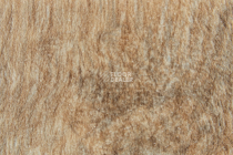 Forbo SureStep Wood 18882 classic oak фото 3 | FLOORDEALER